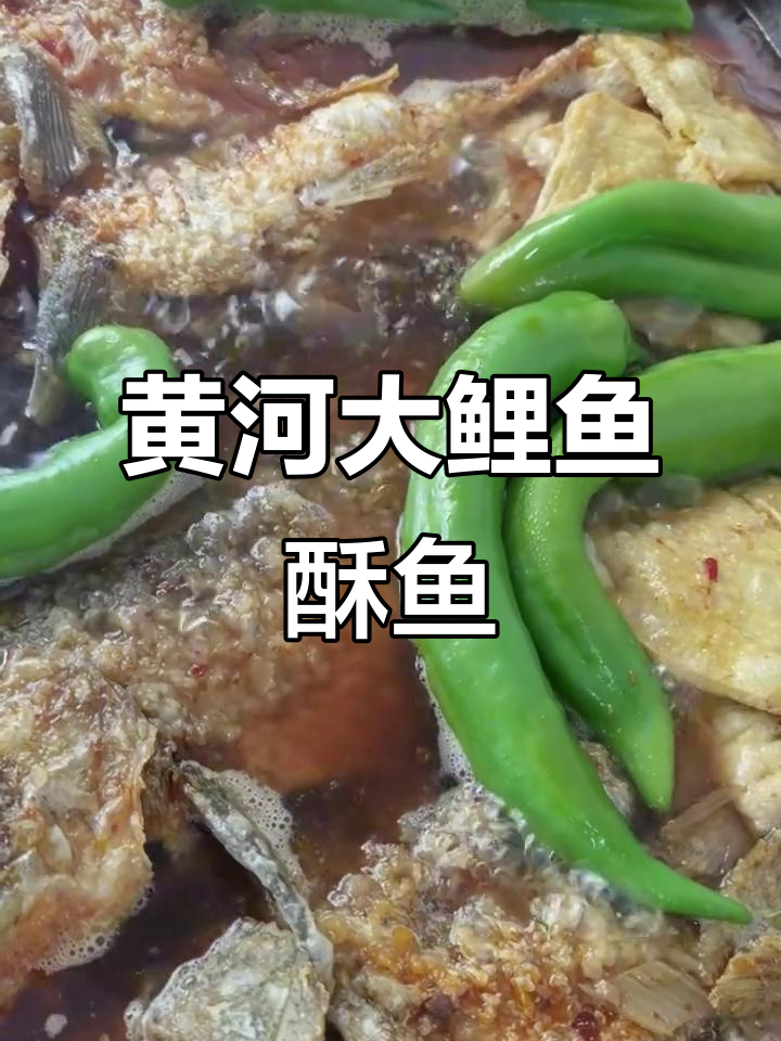 文安县黄河大鲤鱼,酥脆无刺,酱香十足