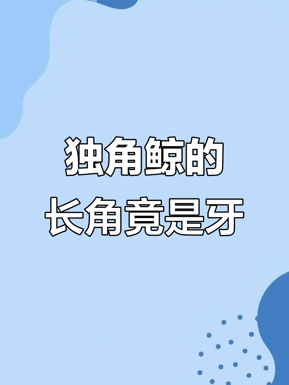 独角鲸的“独角”真相：竟然只是牙齿，还被误认为是神奇之角