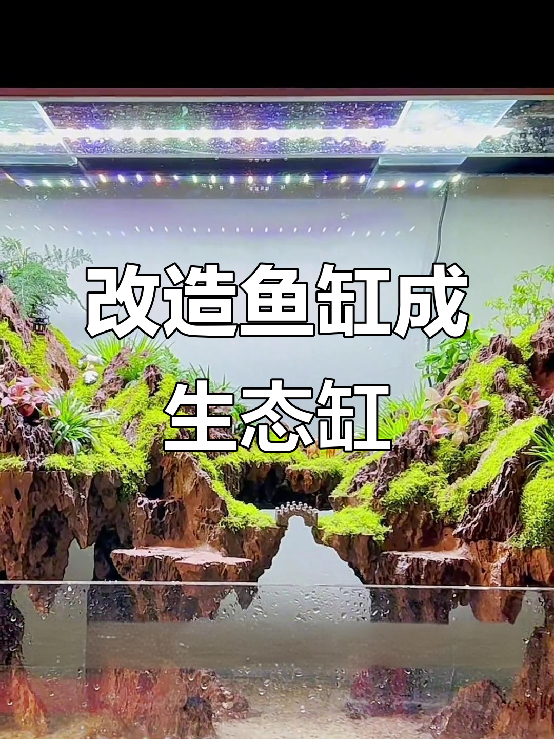 传统鱼缸变身生态景观，打造海派山水风格