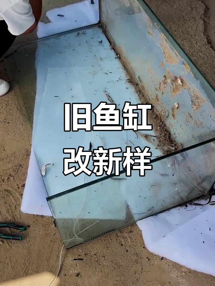二手鱼缸改造,打造现代溪流风格
