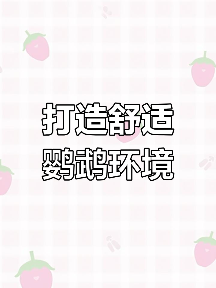 迷你鹦鹉鱼溪流缸造景教程