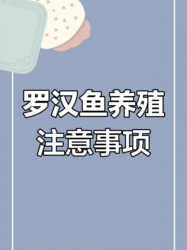 珍珠系罗汉鱼饲养技巧:如何避免高温伤害
