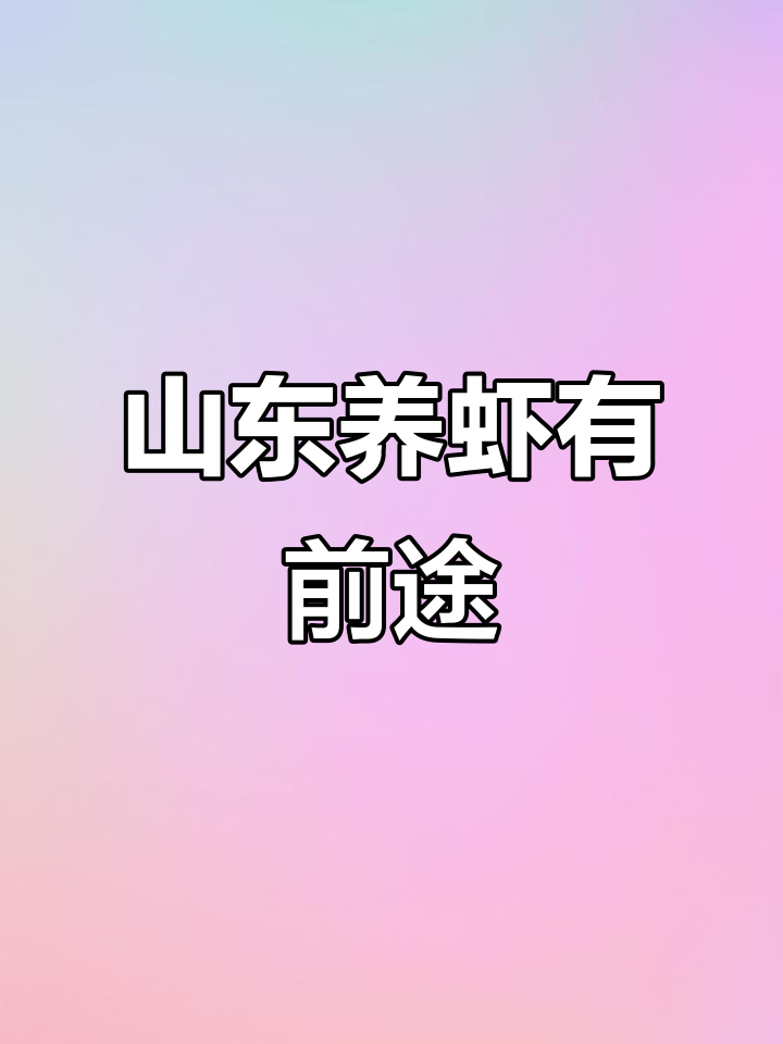 东营郑总挑战小棚虾养殖极限,标苗密度五十万,效果惊人