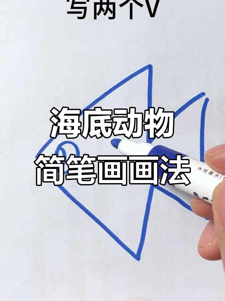 热带海洋创意简笔画，轻松画出海底世界