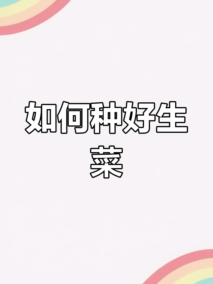 生菜种植技巧:最佳时机与注意事项