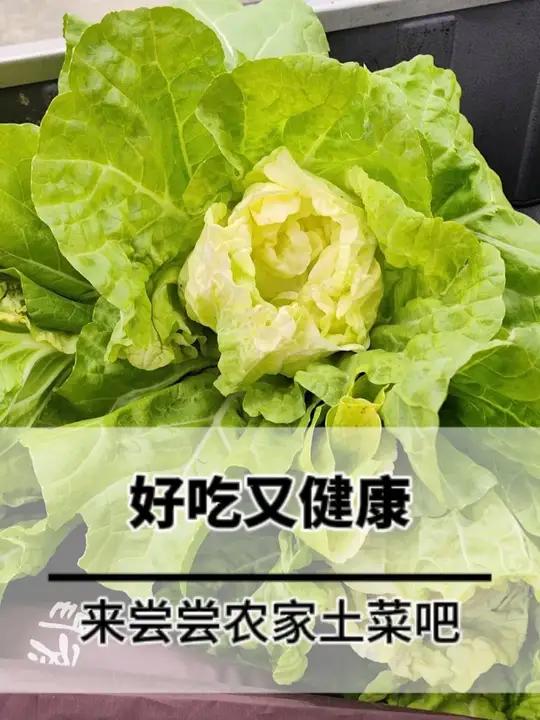 好吃又健康,来尝尝农家土菜吧