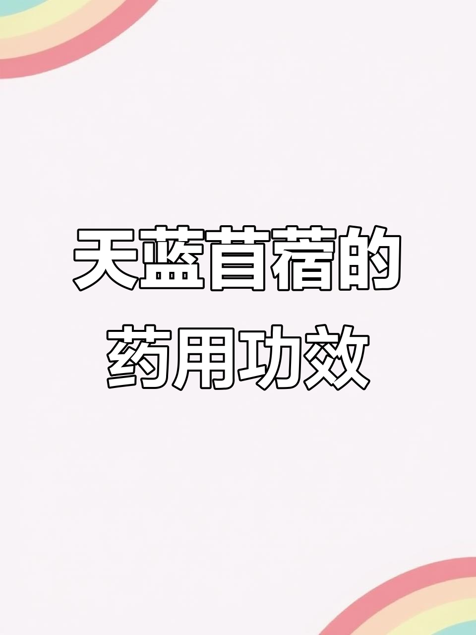 野生天蓝苜蓿:常见却有神奇药用价值