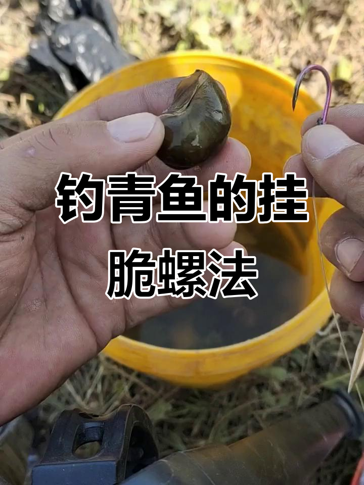 钓青鱼螺丝技巧大揭秘,轻松掌握挂脆螺方法