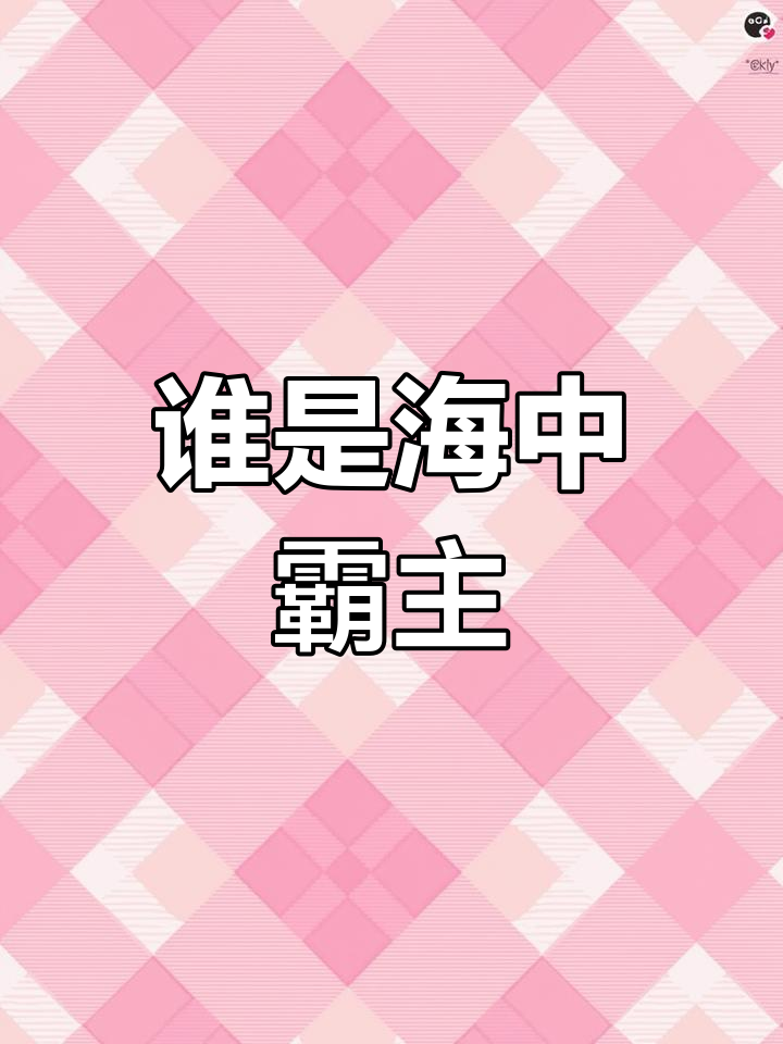 虎鲸与鲨鱼谁更强?海洋动物友好大比拼