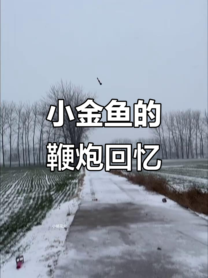 童年趣事:小金鱼、摔炮与意大利炮的奇妙之旅