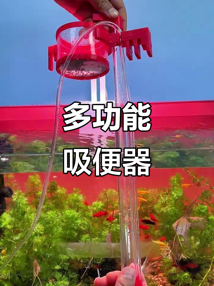吸便器变过滤器,轻松清理鱼缸垃圾