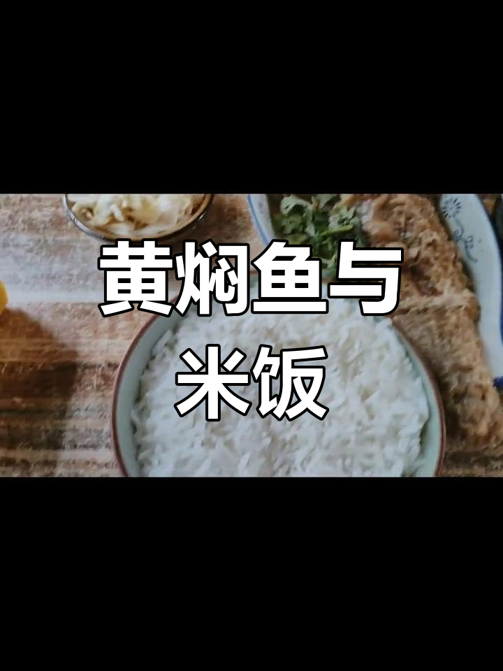 黄焖鱼配小酥肉,米饭一吃就停不下来