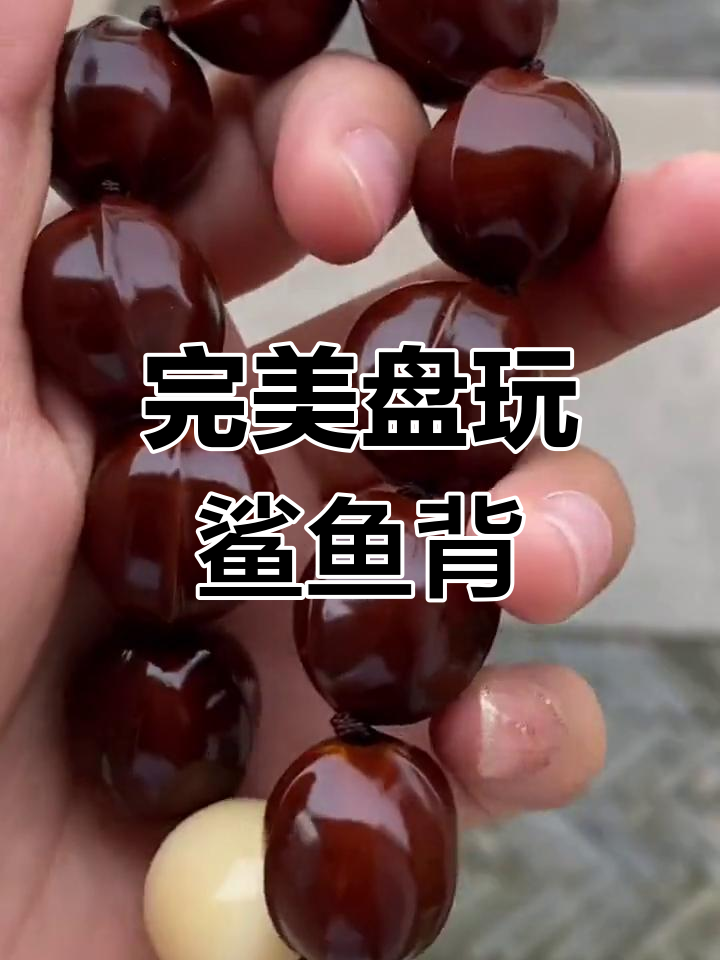 铁核鲨鱼背盘玩全攻略
