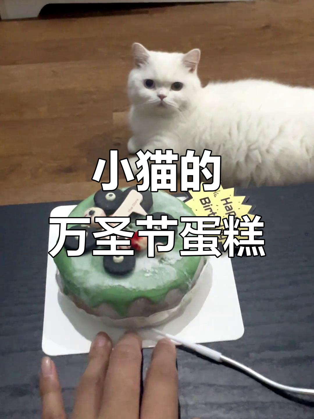 猫咪万圣节蛋糕,傻乎乎的小可爱谁能抗拒?