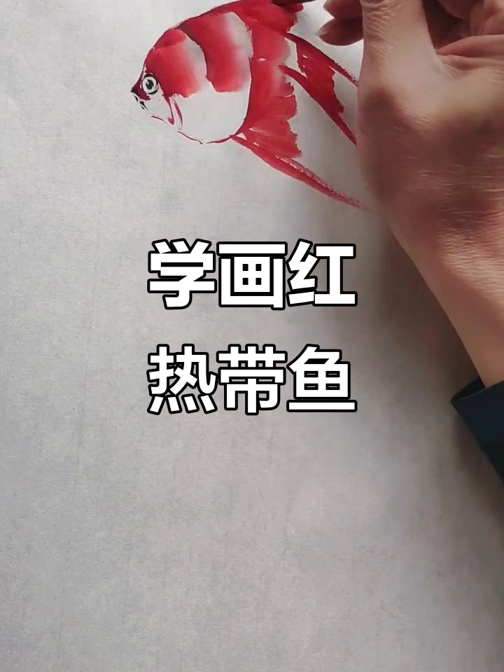 一起学画红色热带鱼,简单又有趣的国画教程