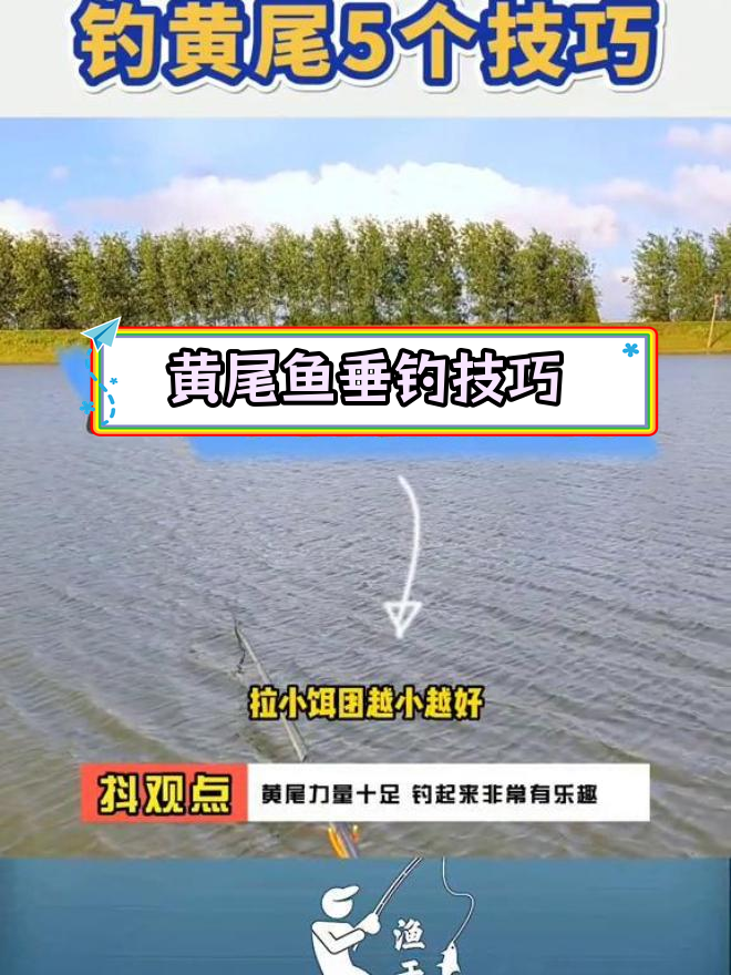 钓黄尾鱼的5个技巧,轻松掌握钓鱼时机与位置