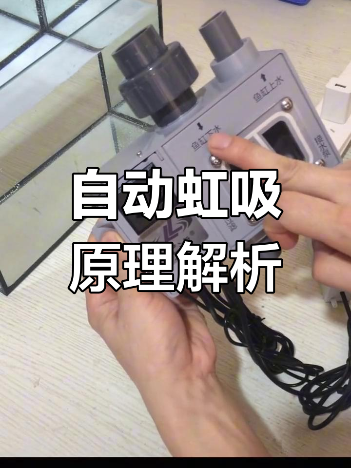 乐滤自动虹吸总成工作原理与内部结构解析