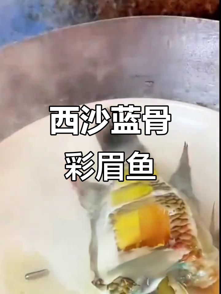蓝骨彩眉鱼:深海中的独特美味,骨头也能发光