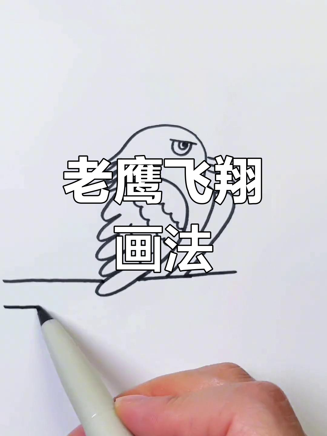 儿童简笔画教程:老鹰与小鸡的飞行