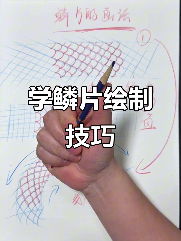 鳞片画法全解析:蛇、龙、鱼鳞轻松搞定