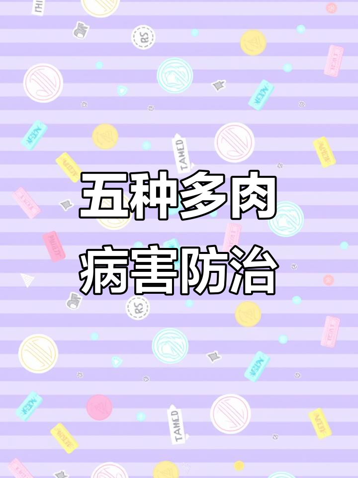 多肉植物常见五种病害及防治方法,新手必看