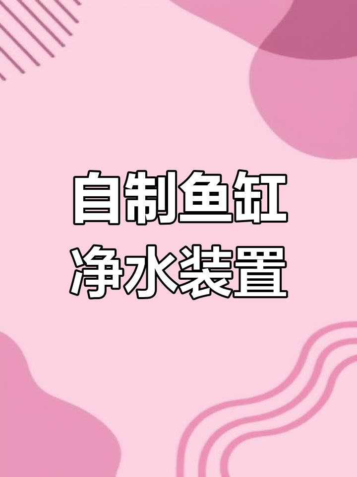 利用废气瓶打造简易鱼缸循环水系统,轻松净化水质