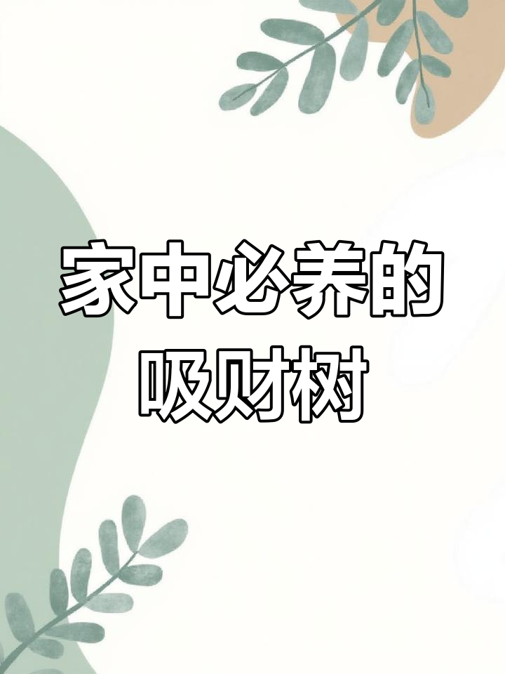 吸财树家里必备,耐阴好养,轻松打造爆侧芽的多肉植物