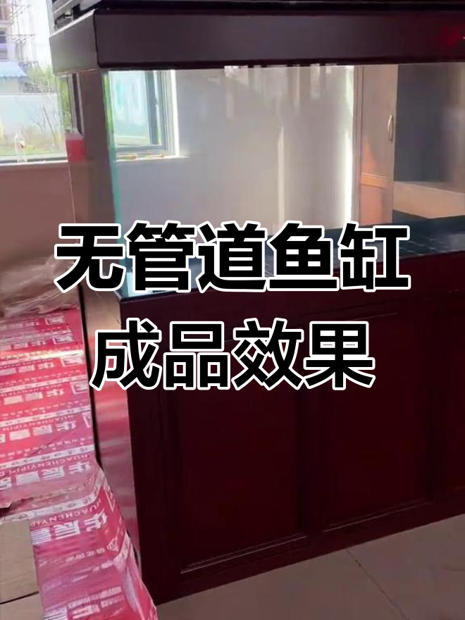 客户家中安装的无管道鱼缸效果展示