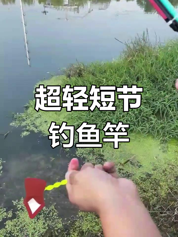 儿童专用迷你钓鱼竿,轻松体验垂钓乐趣