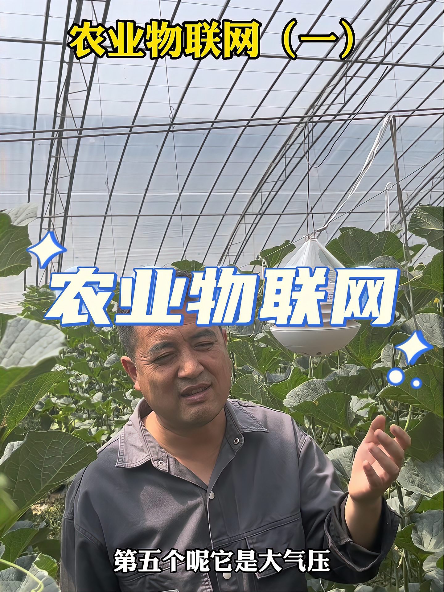 农业物联网，需要了解这五个指标！蔬菜种植管理技术科普 王友福 病虫害防治 寿光蔬菜 农业种