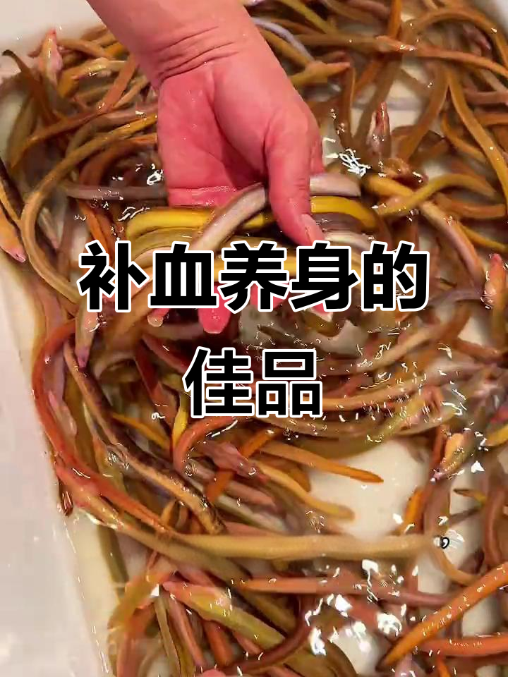 血鳝肉嫩汤鲜,滋补强身,营养丰富