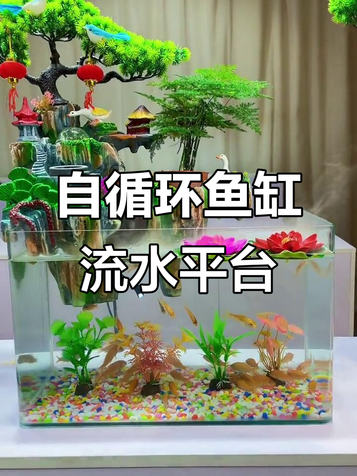 简约风格鱼缸假山流水，自循环水景设计