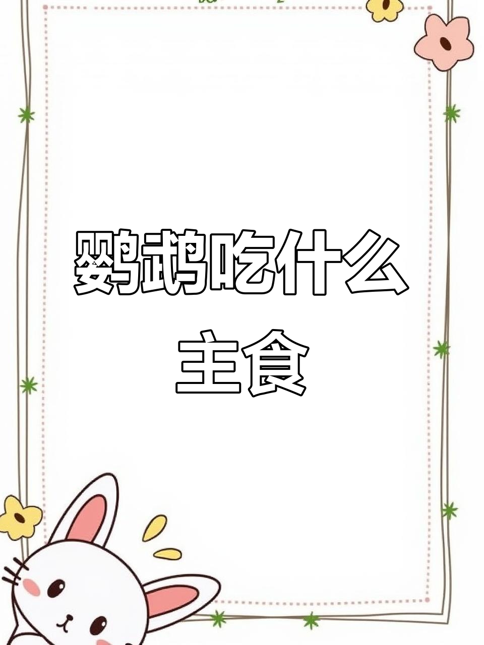 鹦鹉主粮全解析:黄谷子、油料与纤维搭配