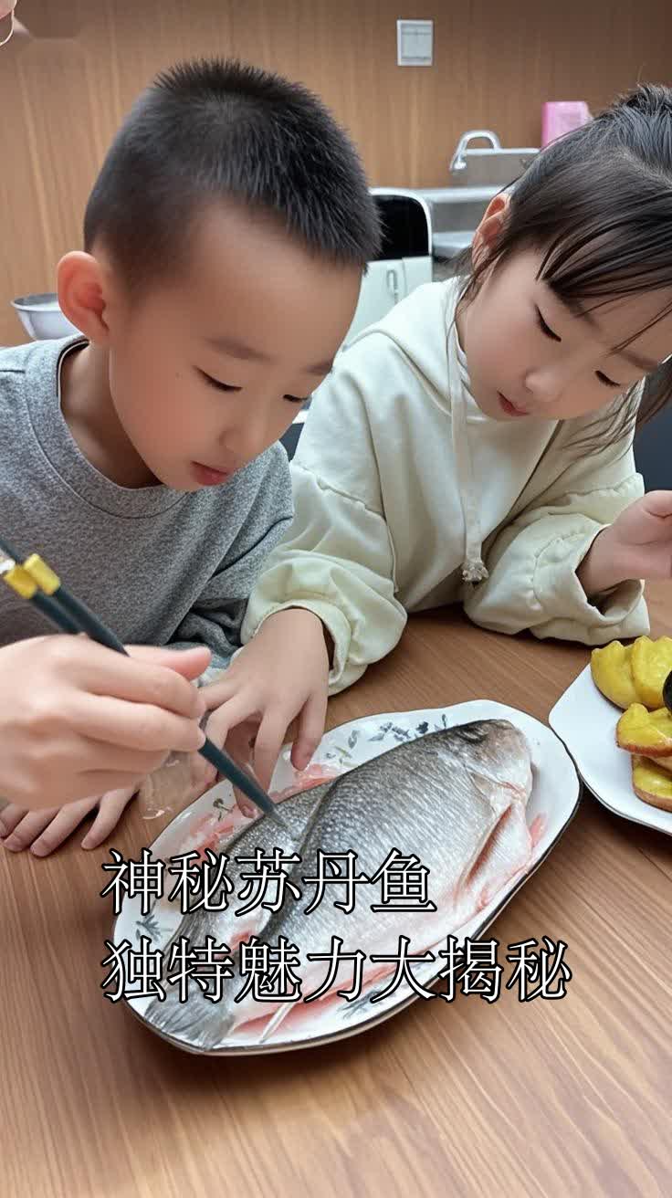 神秘苏丹鱼,独特魅力大揭秘