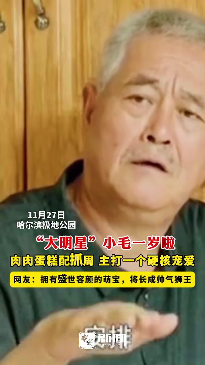 “大明星” 小毛一岁啦肉肉蛋糕配抓周主打一个硬核宠爱,网友:拥有盛世容颜的萌宝,将长成帅气
