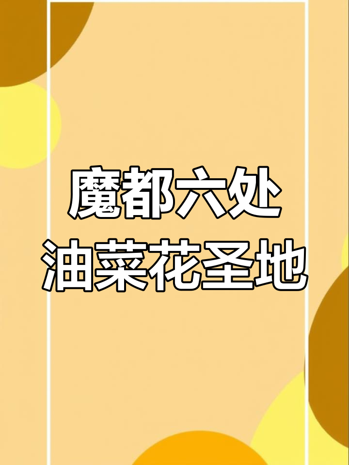 上海六大油菜花打卡地,免费赏花不容错过!