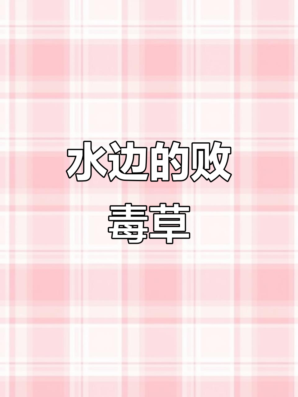 千曲菜:水边柳叶般的美丽植物,药用与美容双重价值