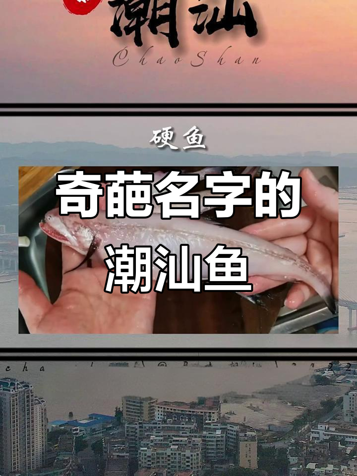 潮汕那些名字怪异却鲜美的鱼,你吃过几种?