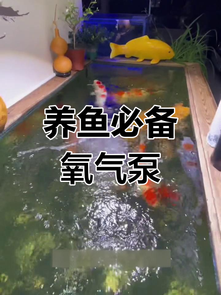 增氧泵对养鱼的重要性
