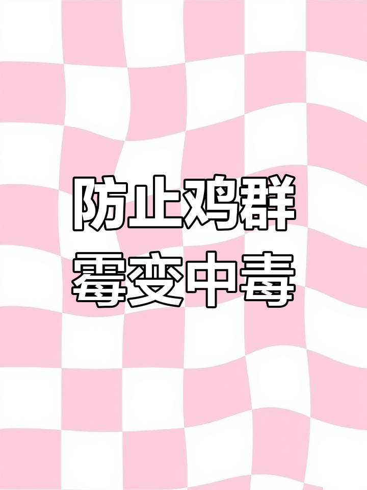 鸡群霉菌感染的常见原因及防范措施,养鸡人必看