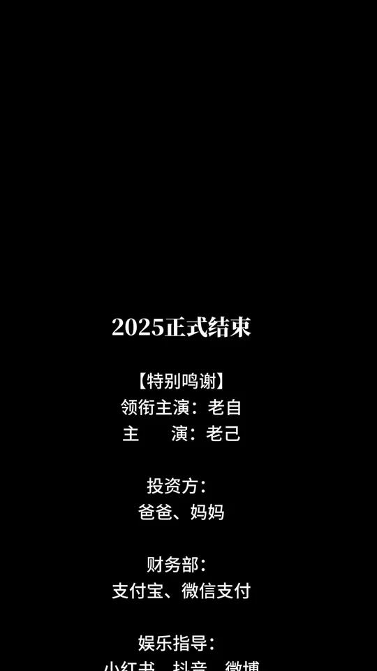 2025年的最后两天