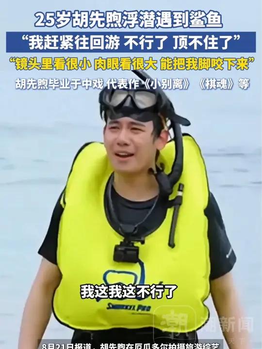 25岁胡先煦浮潜遇到鲨鱼