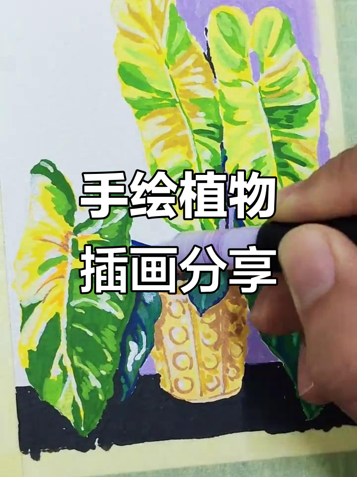 丙烯马克笔手绘植物插画,创作过程全纪录