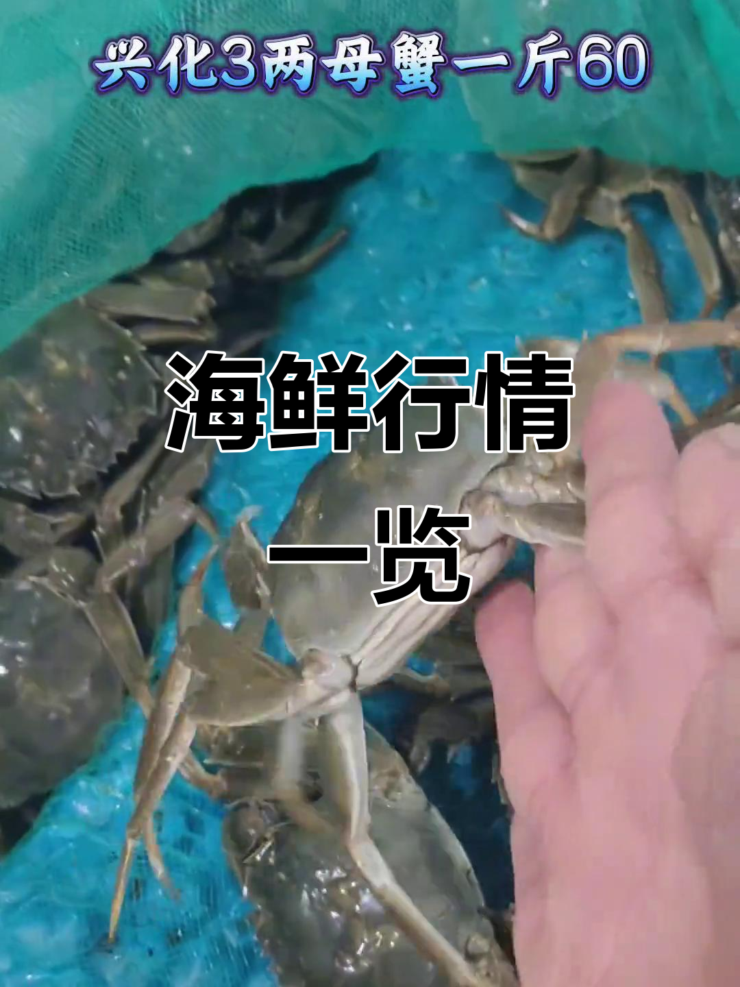 10月海鲜价格大揭秘:从石头鱼到龙虾,一斤多少钱?