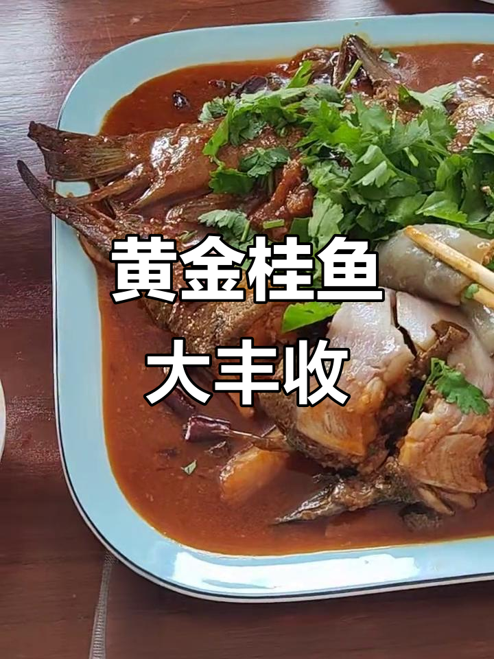 东北野生金桂鱼捕捞，肉质鲜美无比