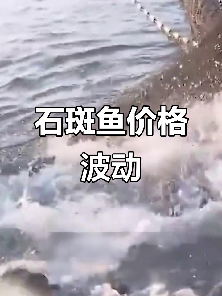石斑鱼价格微降,海南、阳江跌1元/斤,湛江小幅上涨