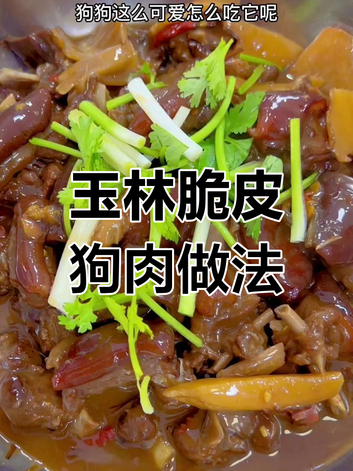 正宗玉林脆皮狗肉,教你如何做正宗美味