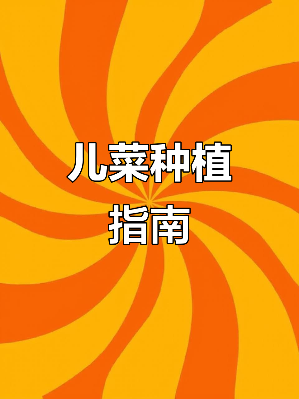 九月播种儿菜,育苗移栽技巧全揭秘