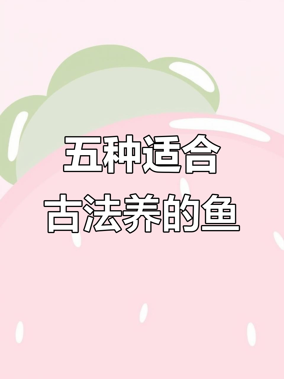 古法缸养鱼推荐:五种最适合的观赏品种