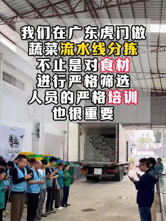 我们在广东虎门仓做蔬菜分拣,不止要对食材进行严格筛选,还要对人员进行严格培训!